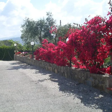 La Selva 3* Agropoli