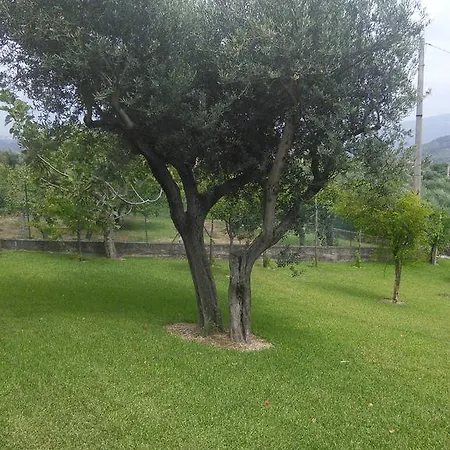 La Selva