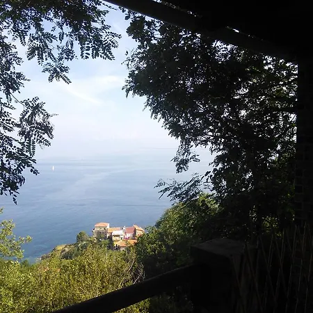 La Selva